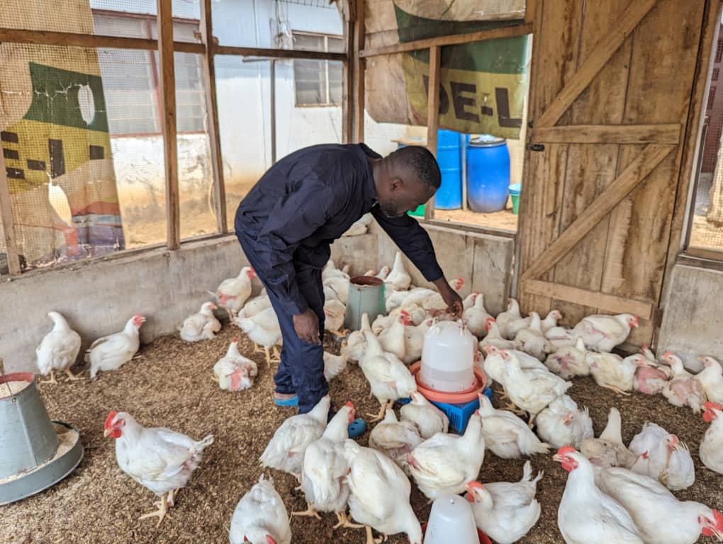 LINBISK FARMS CEO Calls for Government Support to Revitalize Ghana’s Poultry Sector